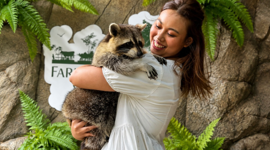 ふれあい動物園「Farm_in_the_City」
